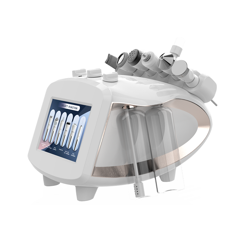 H1303