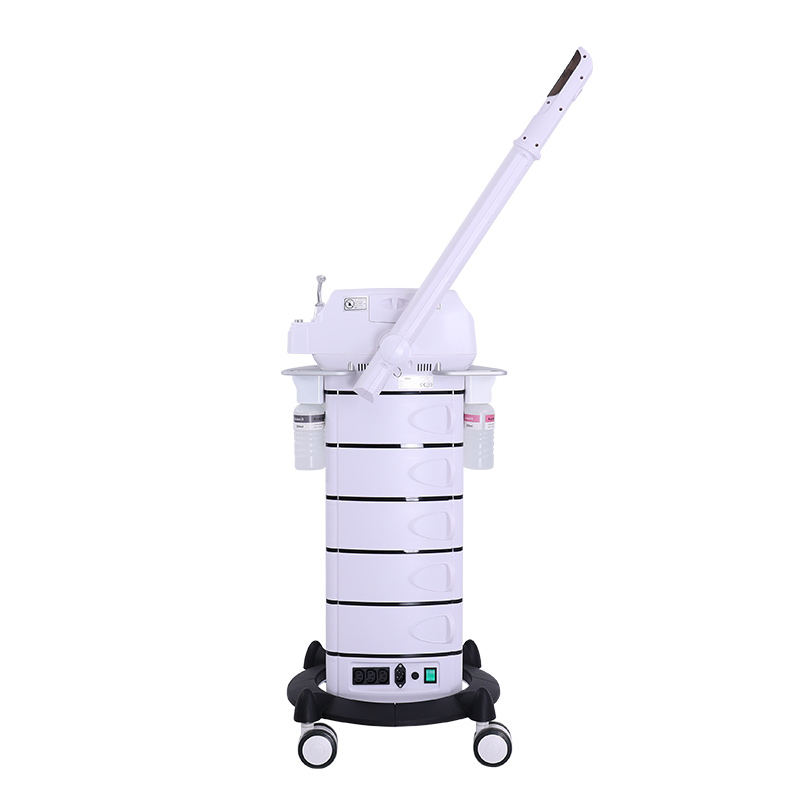 H5001D
